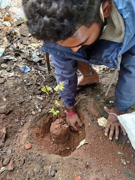 Bilva plantation and Go Green drive