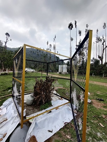 Tree plantation for a better environment